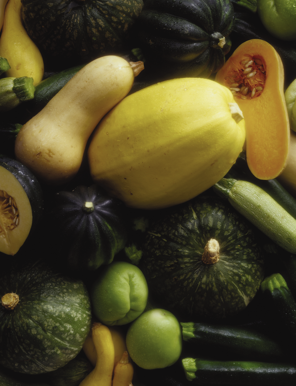 In Season for November