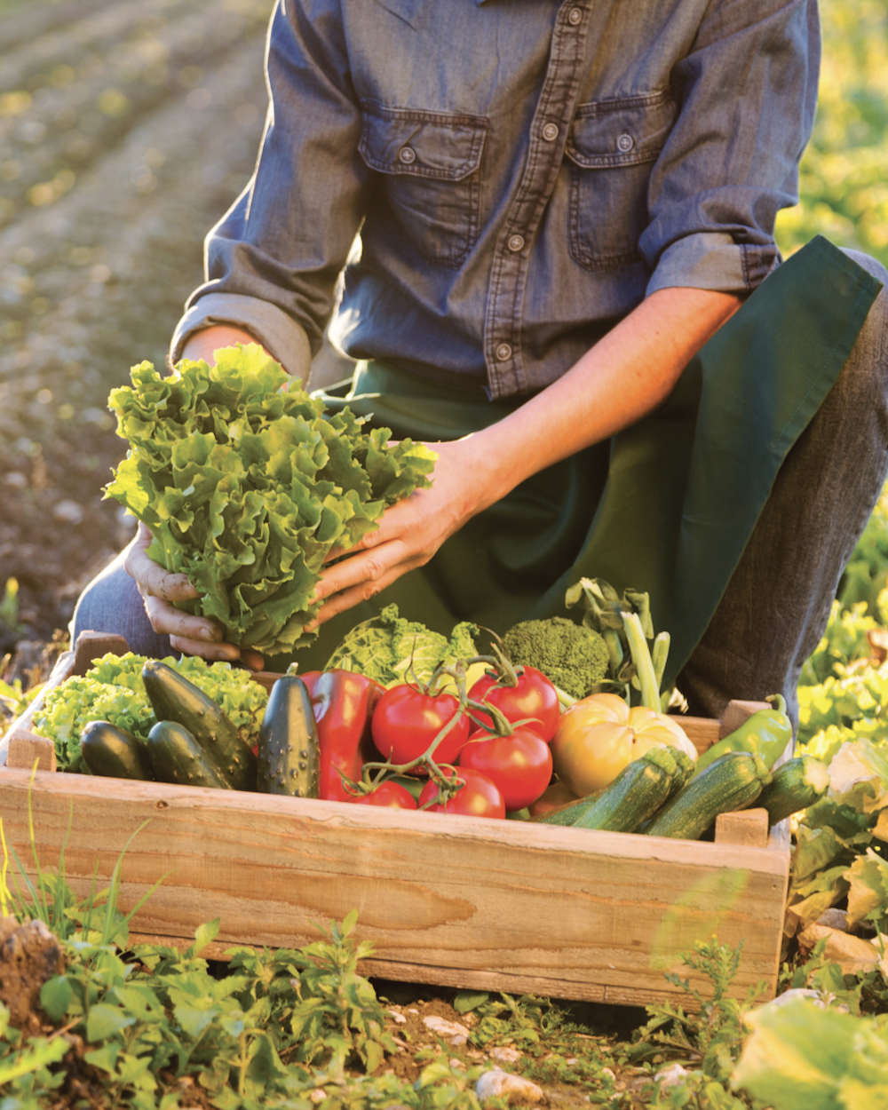 The Local Food Movement